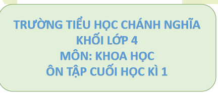 Ôn tập cuối học kì 1