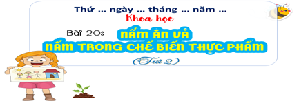 Bài 20:  Nấm ăn và nấm trong thực phẩm