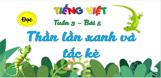 Bài 5: Đọc: Thằn lằn xanh và tắt kè (Tiết 1)