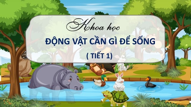 Động vật cần gì để sống T1