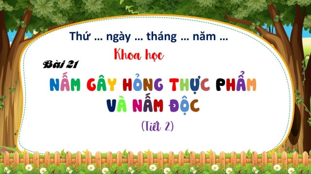 Bài 21: Nấm gây hỏng thực phẩm và nấm độc (tiết 2)