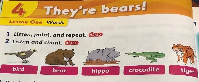 Unit 4: They’re bears!